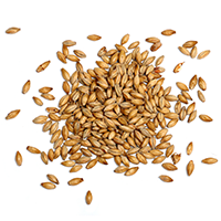 ingredients_transparent_03 https://noralta.mx/wp-content/uploads/2017/05/ingredients_transparent_03.png